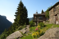 Alpe Zanon