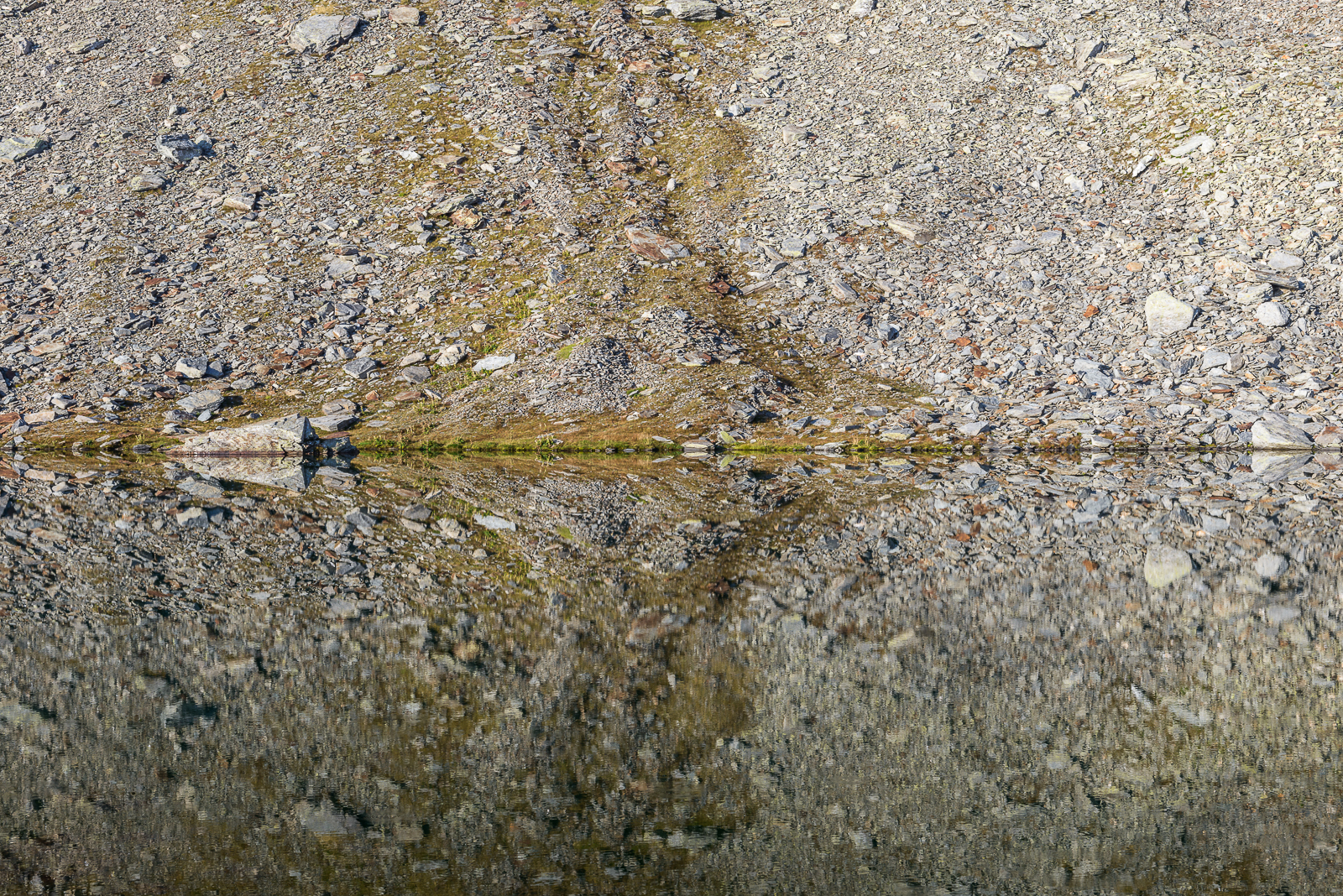 DSC_1759