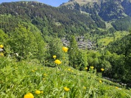 Butun d'or