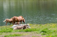 Riposino al lago.