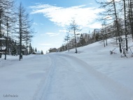 Palü. (Gualdera)