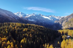 Bosco di Mottala