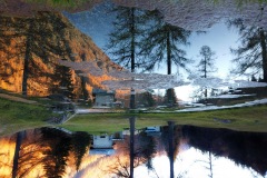 Laghetto delle oche, riflessi capovolti