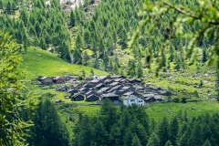 DSC_8252pan