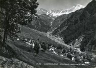 CartoLeloFraciscio (27).jpg