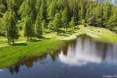 Laghetto della palude del fieno