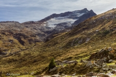 Alpe Mottala in Val di Lei