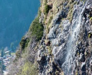 Acqua fresca