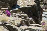 sulle nude rocce ...
