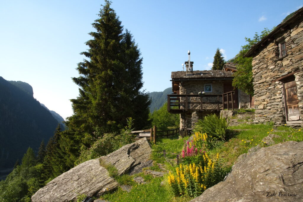 Alpe Zanon